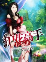 護(hù)花高手在都市