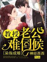 染指成婚，教授老公難伺候