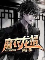 麻衣龍婿