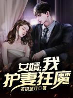 女婿：我，護妻狂魔