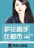 護(hù)花高手在都市