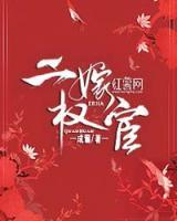 二嫁權(quán)宦