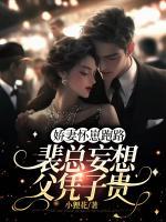 嬌妻懷崽跑路，裴總妄想父憑子貴