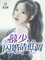 慕少，閃婚請(qǐng)低調(diào)