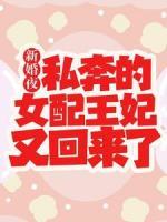新婚夜，私奔的女配王妃又回來了