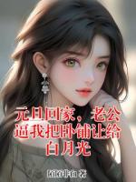 元旦回家，老公逼我把臥鋪讓給白月光