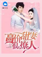 高價(jià)甜妻很撩人