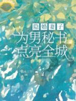 隱婚妻子為男秘書(shū)點(diǎn)亮全城