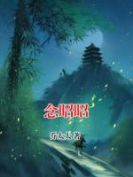 念昭昭
