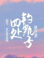 春節(jié)，女友背著我四處釣凱子