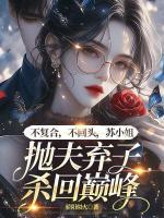 不復(fù)合，不回頭，蘇小姐拋夫棄子殺回巔峰
