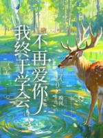 我終于學會不再愛你