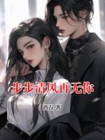 步步清風再無你