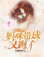 報(bào)告爹地：媽咪帶球又跑了
