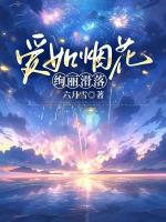 愛如煙花，絢麗滑落