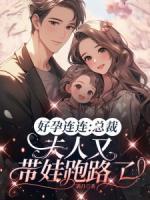 好孕連連：總裁，夫人又帶娃跑路了