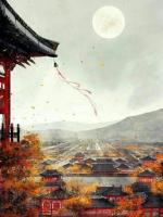 半生思念碎如風(fēng)