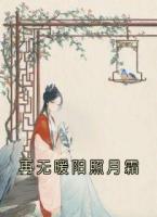 再無暖陽照月霜