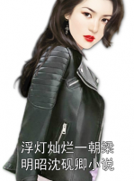 浮燈燦爛一朝梁明昭沈硯卿小說