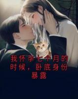我懷孕七個(gè)月的時(shí)候，臥底身份暴露