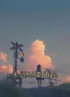永遠(yuǎn)不要再見