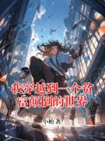我穿越到一個(gè)貧富顛倒的世界