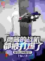 鷹醬的戰(zhàn)機(jī)都被打爆了，你管這叫模型？