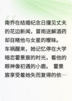 失憶后我踹了豪門老公
