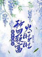 農(nóng)家小福女，種田致富火旺旺