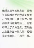 妻子遞來離婚協(xié)議我撕掉百億偽裝