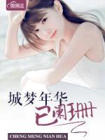 城夢(mèng)年華已闌珊
