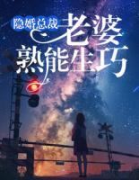 隱婚總裁：老婆，熟能生巧