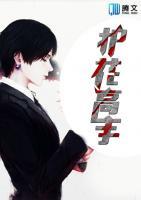 護(hù)花高手