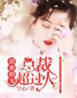 甜蜜婚寵：總裁，超過火