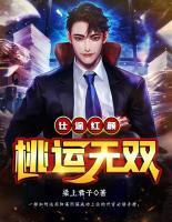 仕途紅顏：桃運(yùn)無(wú)雙