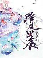 昨夜星辰昨夜風